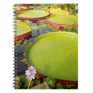 Lily Pads Photo Notebook