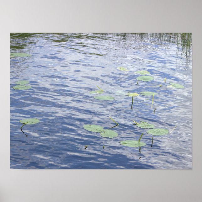 Lily Pads Photo Poster (Front)
