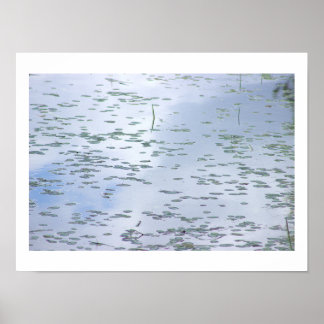 Lily Pads Photo Poster
