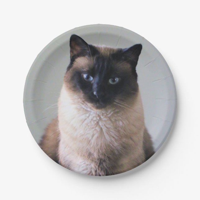 Lily Paper Plate (Front)