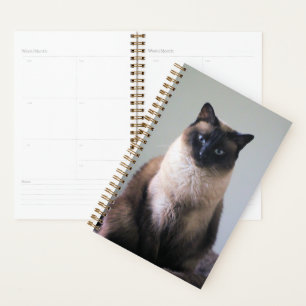 Lily Planner