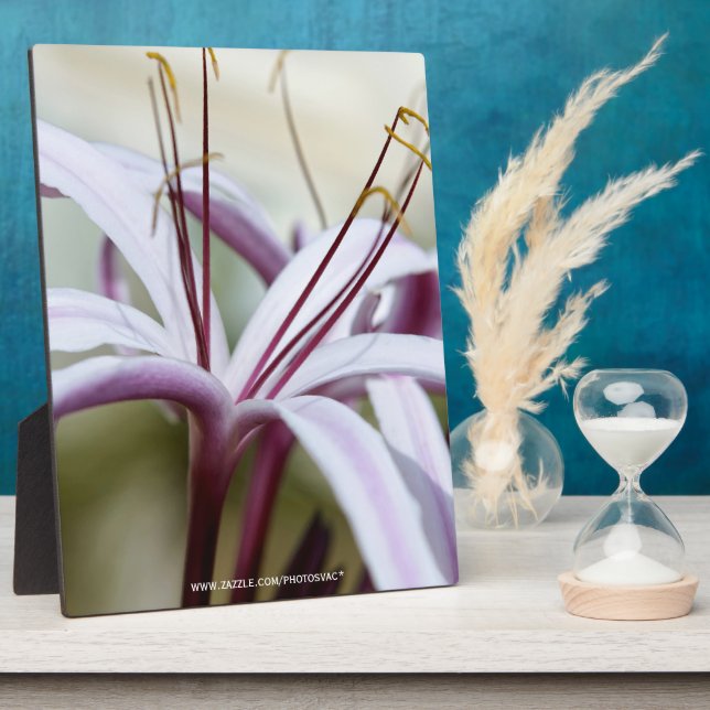 Lily Plaque (Side)