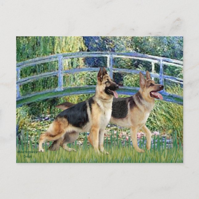 Lily Pond Bridge - Two German Shepherds Postcard (Front)