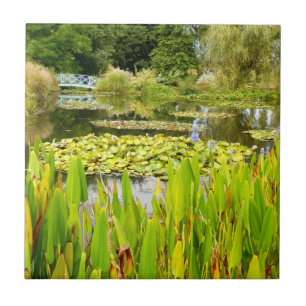 Lily Pond Ceramic Tile