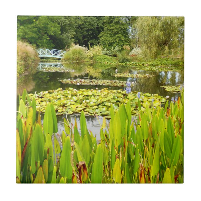 Lily Pond Ceramic Tile (Front)