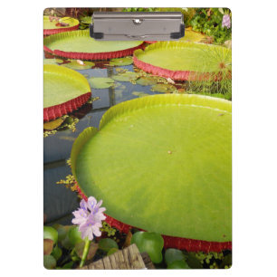 Lily Pond Clipboard