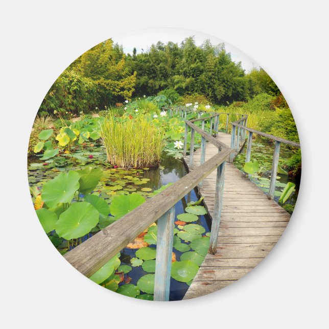 Lily Pond Magnet (Front)
