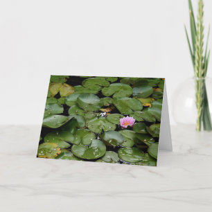 Lily Pond Note Card