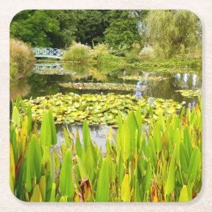 Lily Pond Paper Coaster