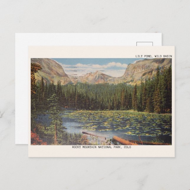 LILY POND WILD BASIN, COLORADO wild life gifts Postcard (Front/Back)