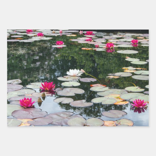 Lily pond wrapping paper sheet (Front)