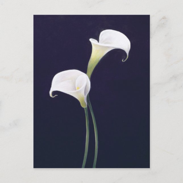 Lily Postcard (Front)