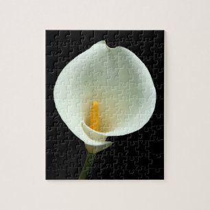 Lily Puzzle