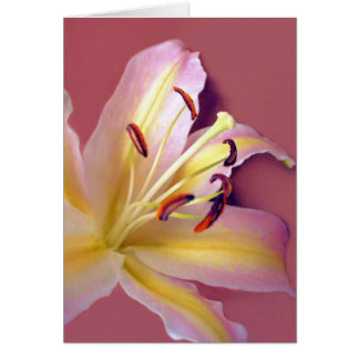 Lily Soft Card