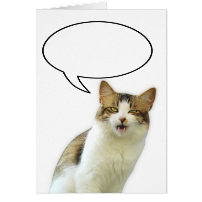 Lily Speech Bubble Card 01 (Front)