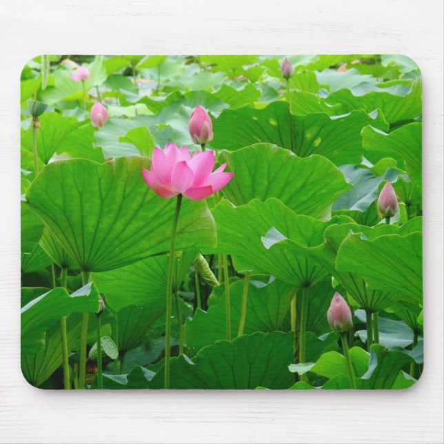 Lily Standing Tall Mouse Mat (Front)