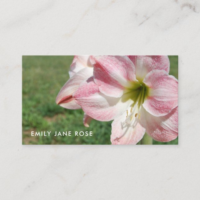 Lily 'Stargazer', Oriental lilies, Floristry Business Card (Front)