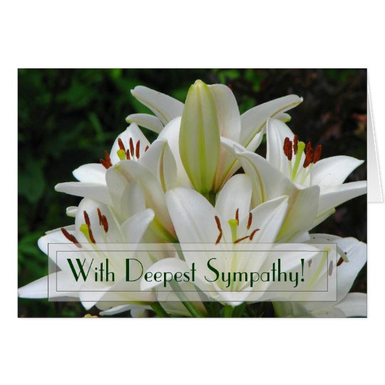 Lily Sympathy Greeting Card