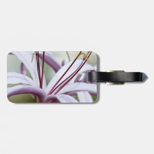 Lily Tags For Luggage - Customised