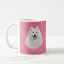 Lily the samoyed