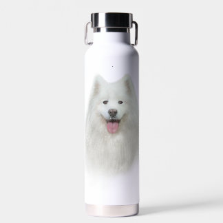 Lily the samoyed water bottle