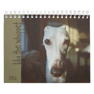 Lily The Whippet Calendar 2016