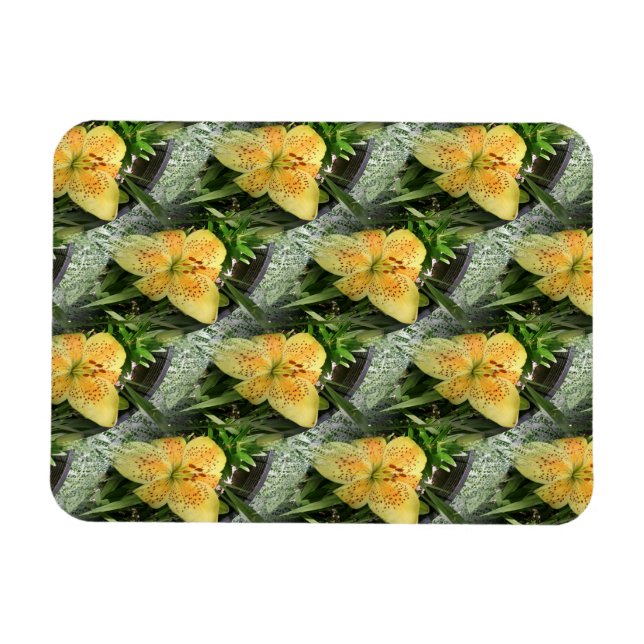 Lily Time... Magnet (Horizontal)