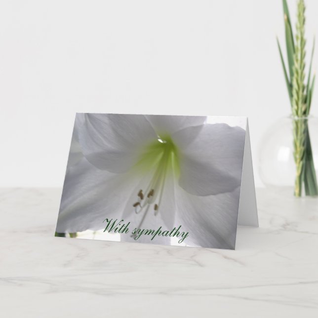 Lily With sympathy Card (Front)