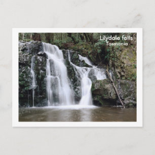 Lilydale falls, Tasmania Postcard