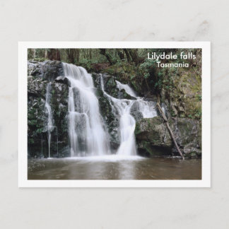 Lilydale falls, Tasmania Postcard
