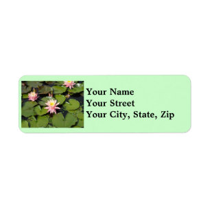Lilypad Flowers Return Address Labels