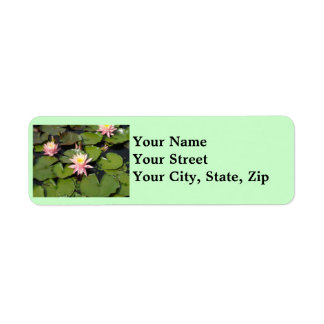 Lilypad Flowers Return Address Labels