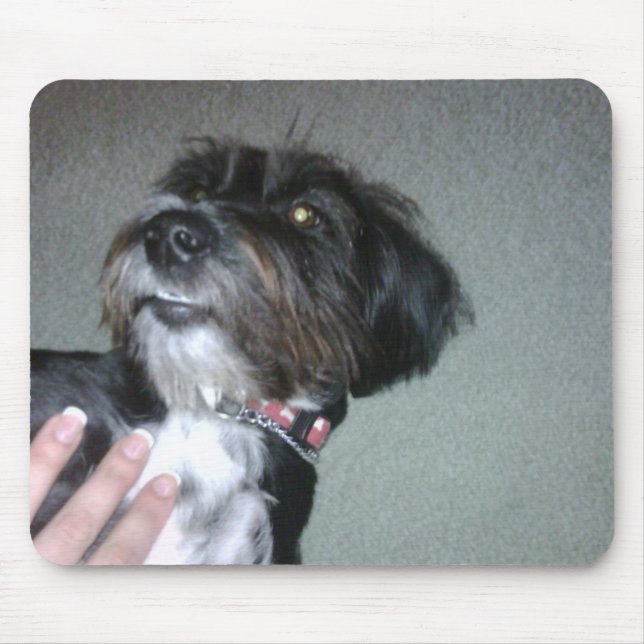 Lilypad Mouse Mat (Front)