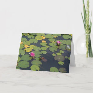 Lilypad Pond Painting Card
