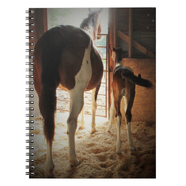 Lily's Love Notebook (Front)