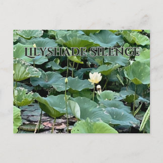 Lilyshade Silence Postcard