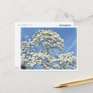 Lilytree Postcard