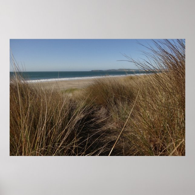 Limantour Beach at Point Reyes National Seashore I Poster (Front)