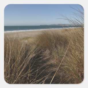Limantour Beach at Point Reyes National Seashore I Square Sticker