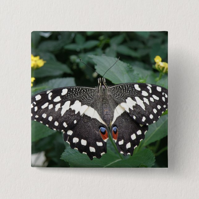 Lime Butterfly and flowers Button (Front)