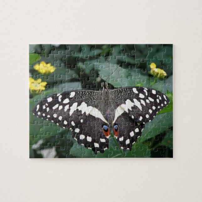 Lime Butterfly and Flowers Puzzle (Horizontal)