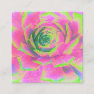 Lime Green and Pink Succulent Sedum Rosette Discount Card