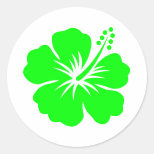 Lime hibiscus flower classic round sticker