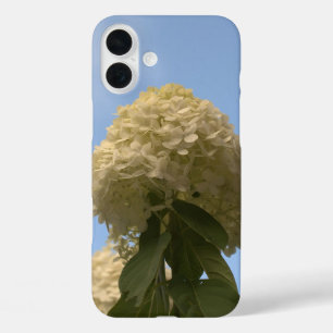 Lime Hydrangea Flowers Blue Sky iPhone 16 Plus Case