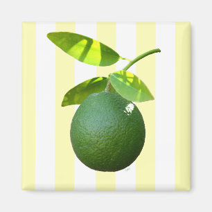 Lime Magnet