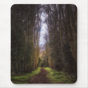 Lime Tree Path Mouse Mat