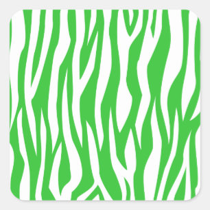 Lime Zebra Print Square Sticker