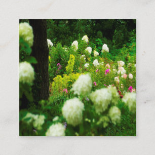 Limelight Hydrangeas in My Rubio Garden Square Business Card
