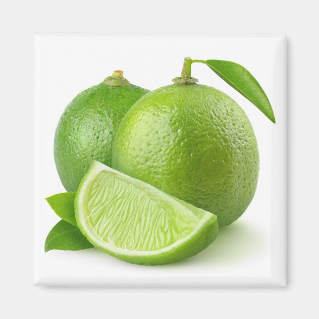 Limes Magnet (Front)