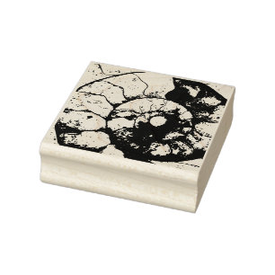 Limestone ammonite fossil rubber stamp